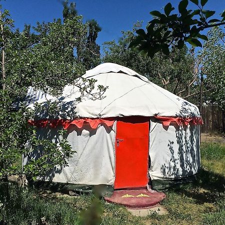 Arista Yurt Camp Ξενοδοχείο Karakol Δωμάτιο φωτογραφία