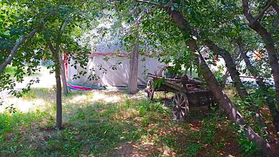 Arista Yurt Camp Ξενοδοχείο Karakol Εξωτερικό φωτογραφία